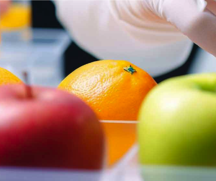 Preferensi Konsumen dan Keamanan Pangan